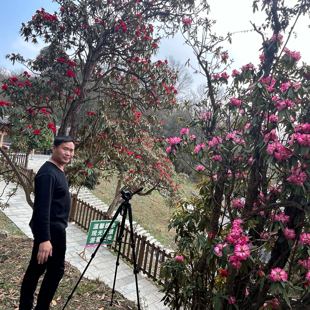 杜鹃大师兄