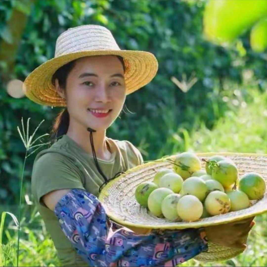 广西玉姐甄选