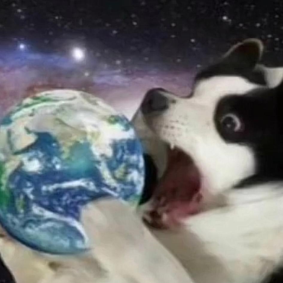 粉红色福利分房