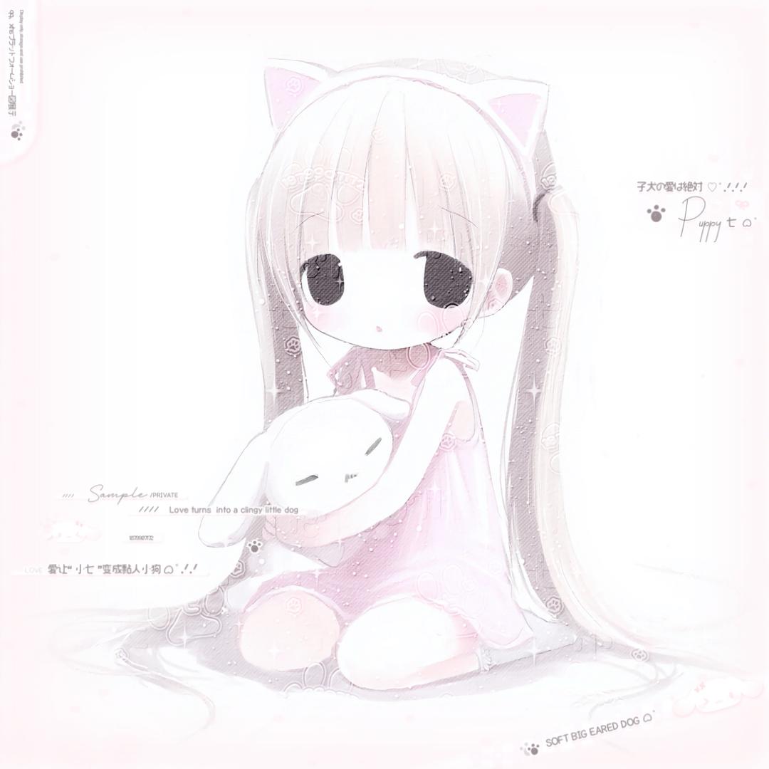 纯犬