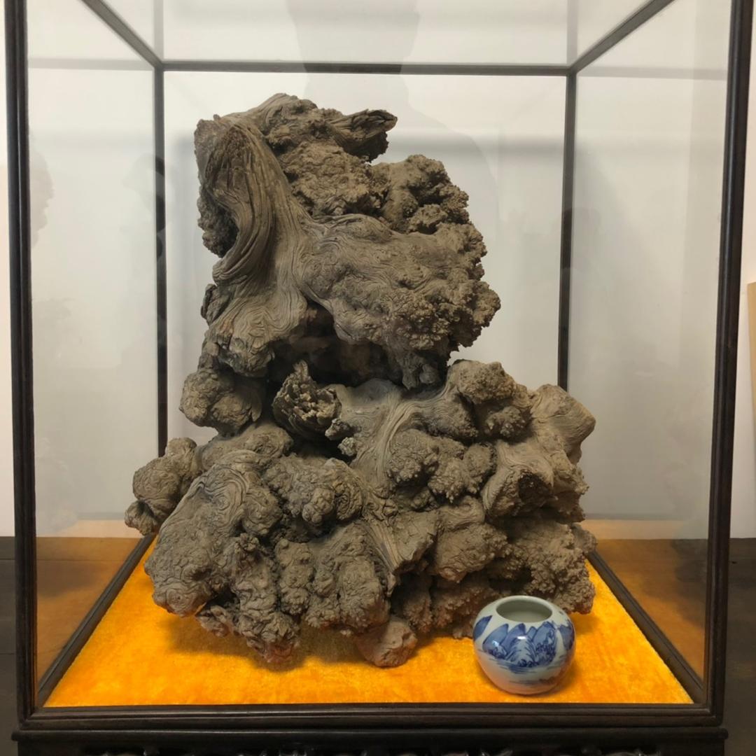王飞 京都柏虎堂