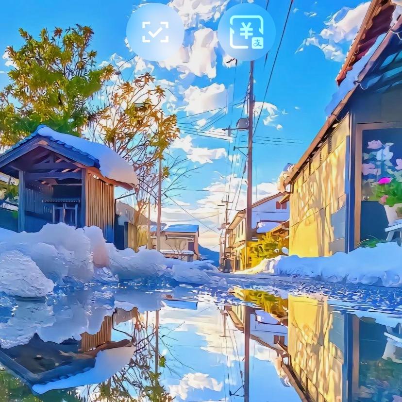 树叶🍂