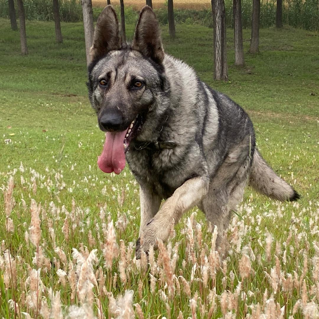 陈住气 必陈大器🔋