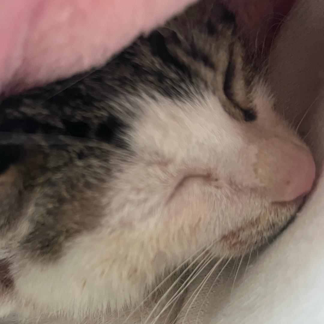 吴大姐今年45岁