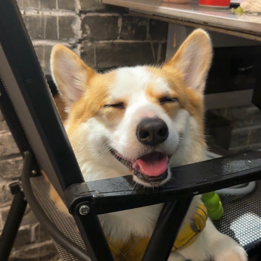Coke🐕