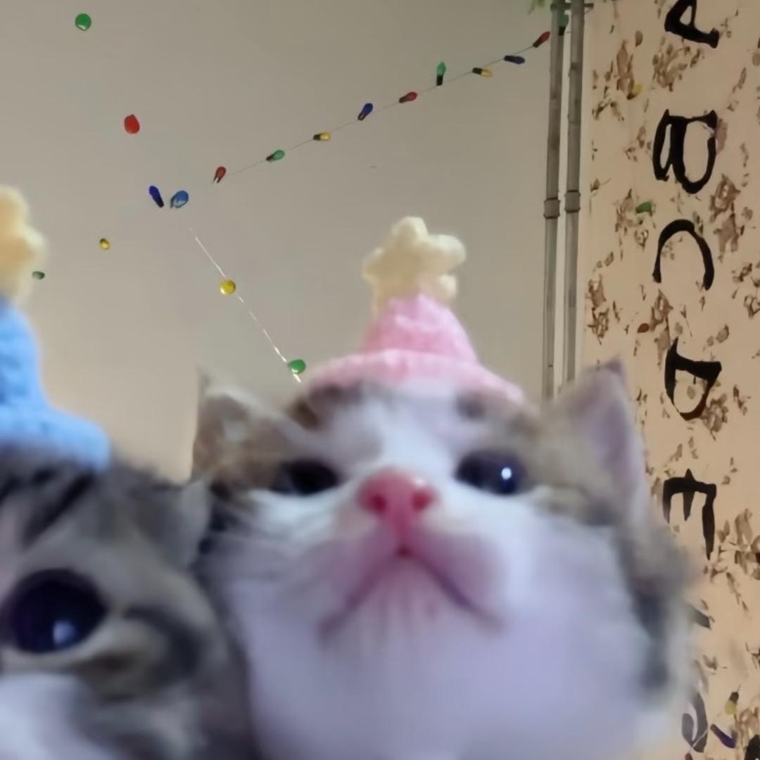 瞌睡鱼