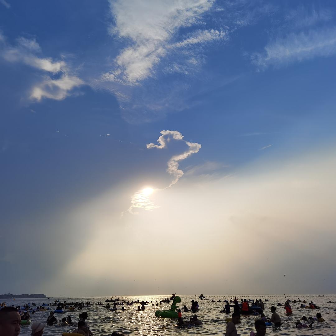 好多鱼呀