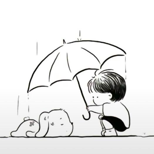 施主你相信缘还是元