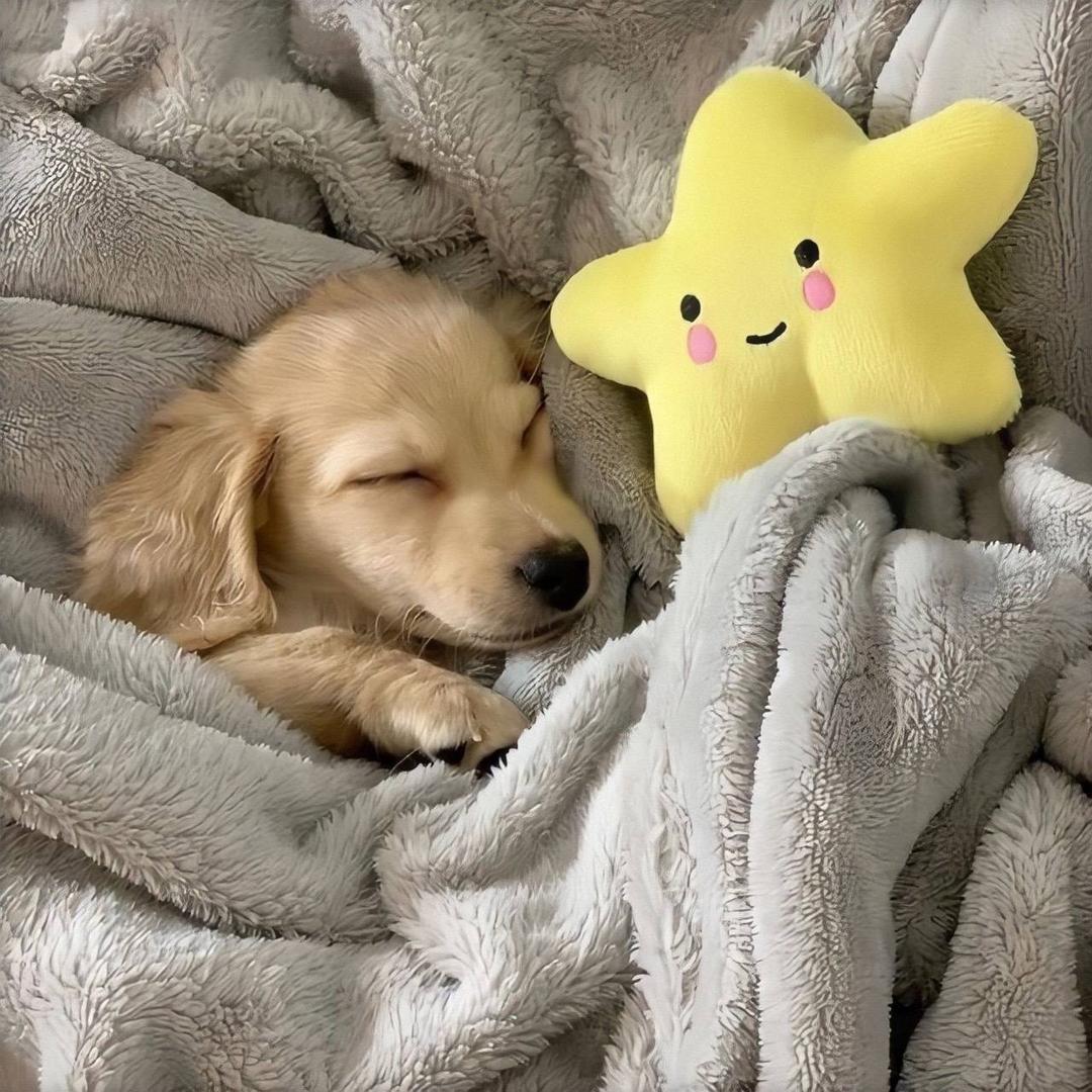 and^ ㅤ