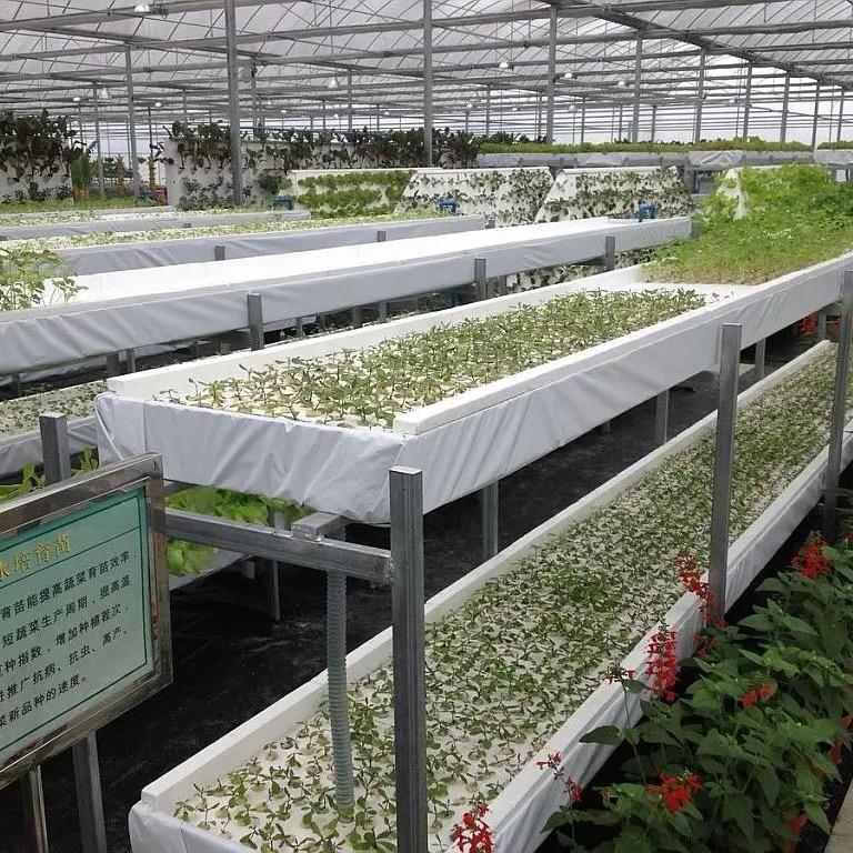 水培大全🥬🍅🥒