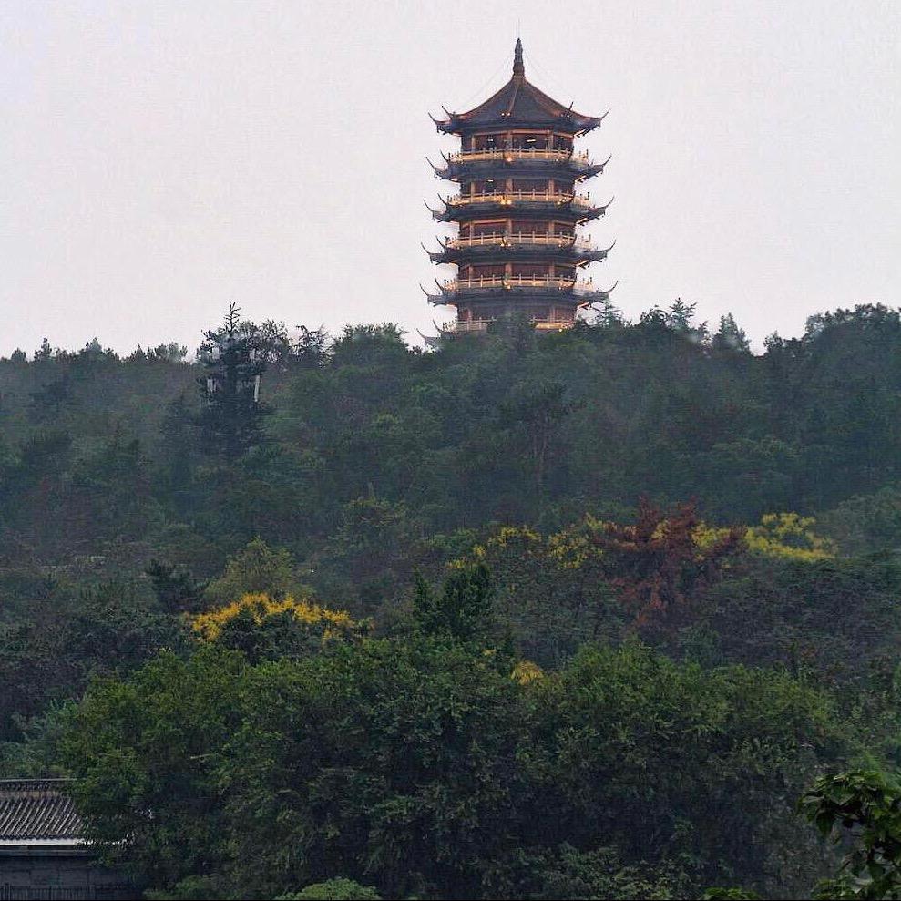 触景生情