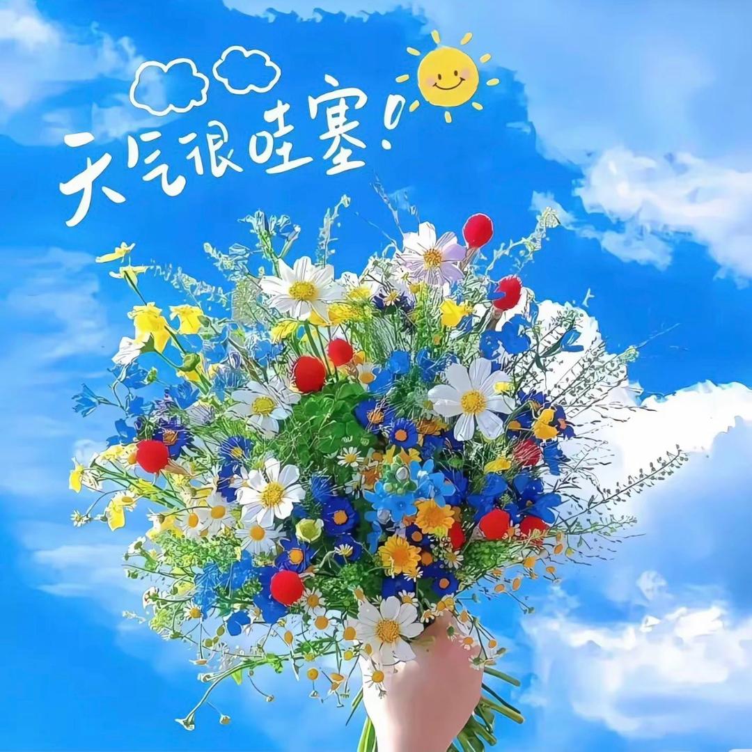 是～周周呀✨