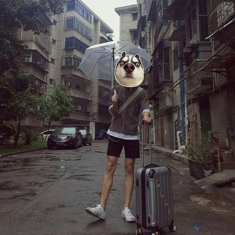 张晏铭