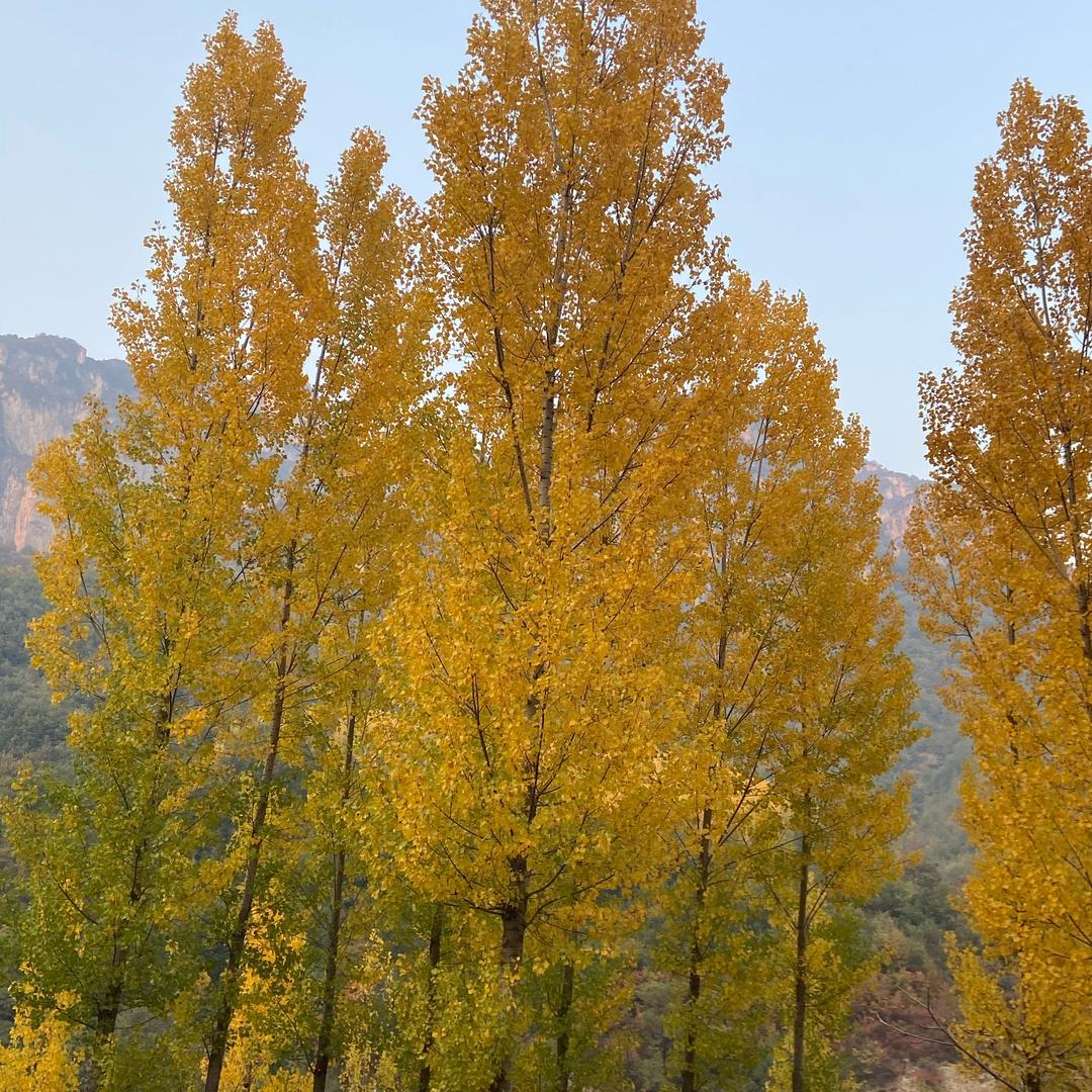 。。。。。。。。。。。。。。。。。。。。