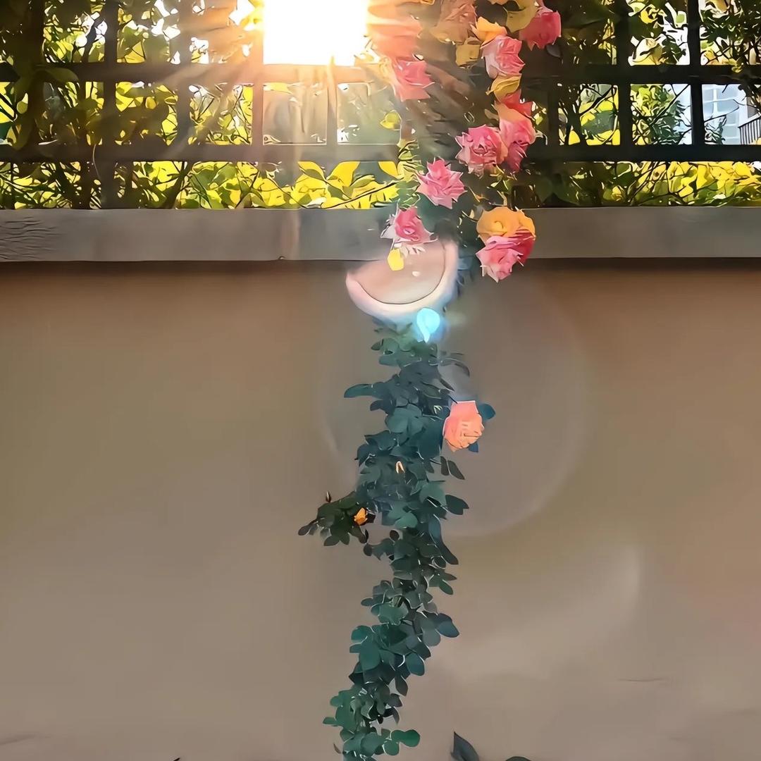 困困草莓熊