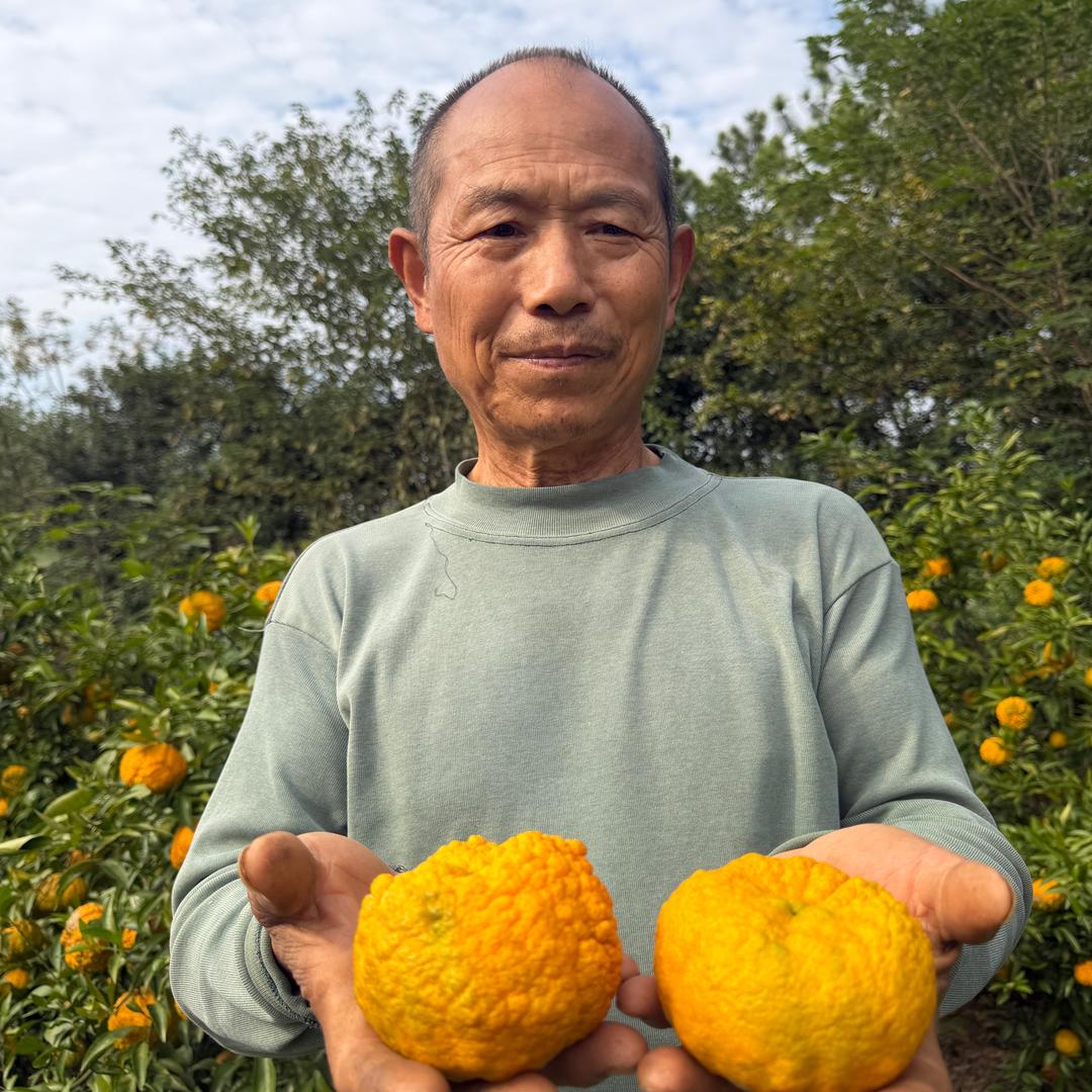 华容老何推荐官