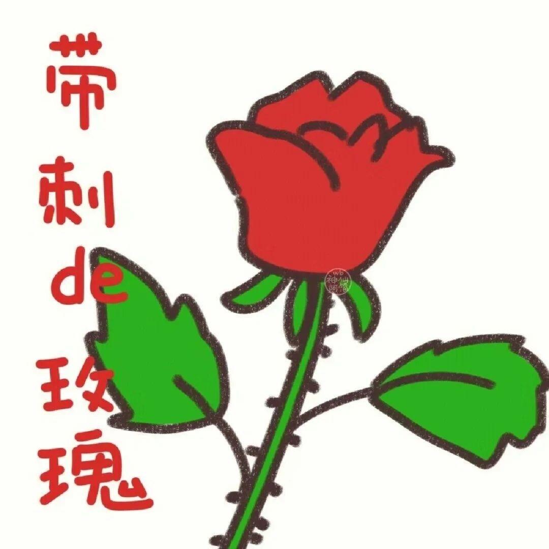 寄居蟹