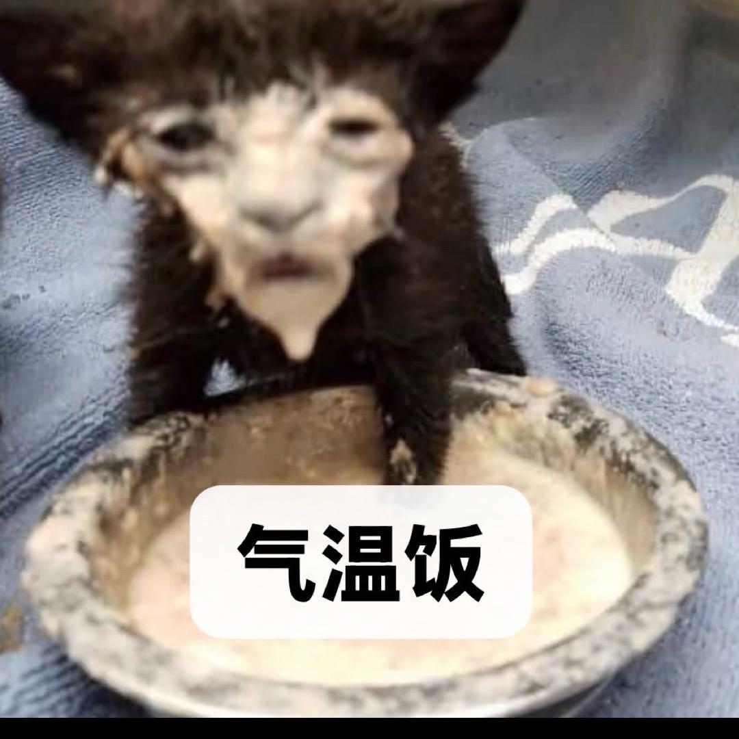 一的二次方