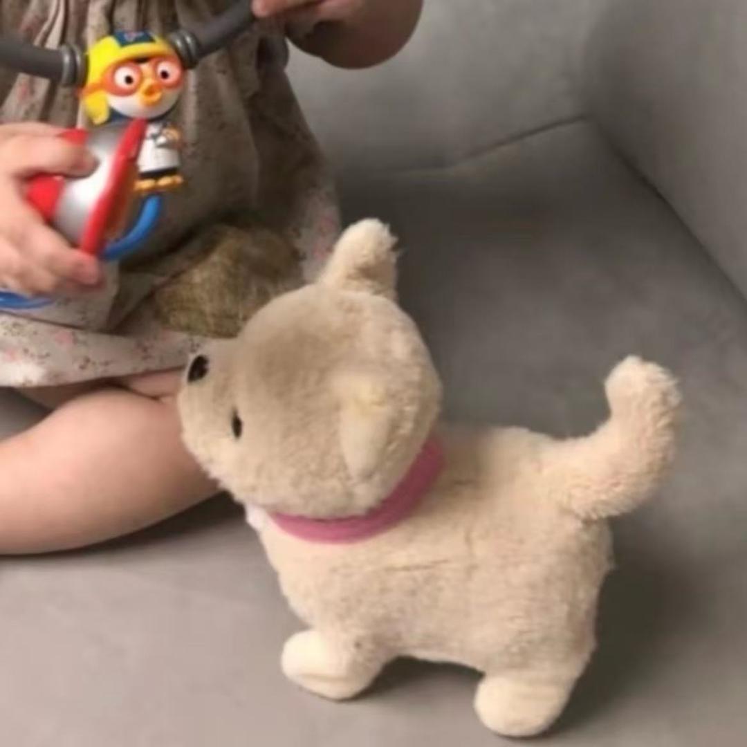 阿骨朵