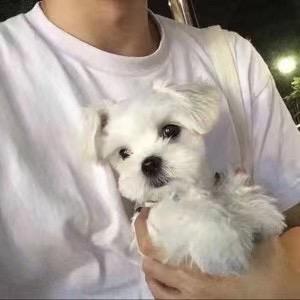 晚安（射灯爱好者