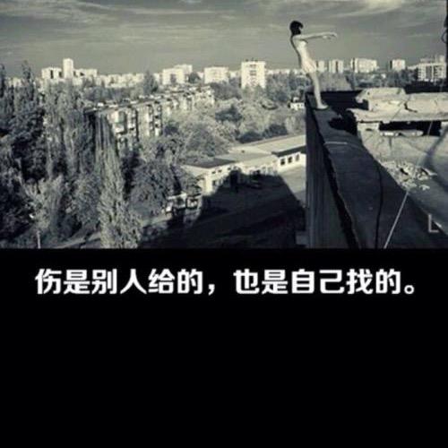 弓长·弓长