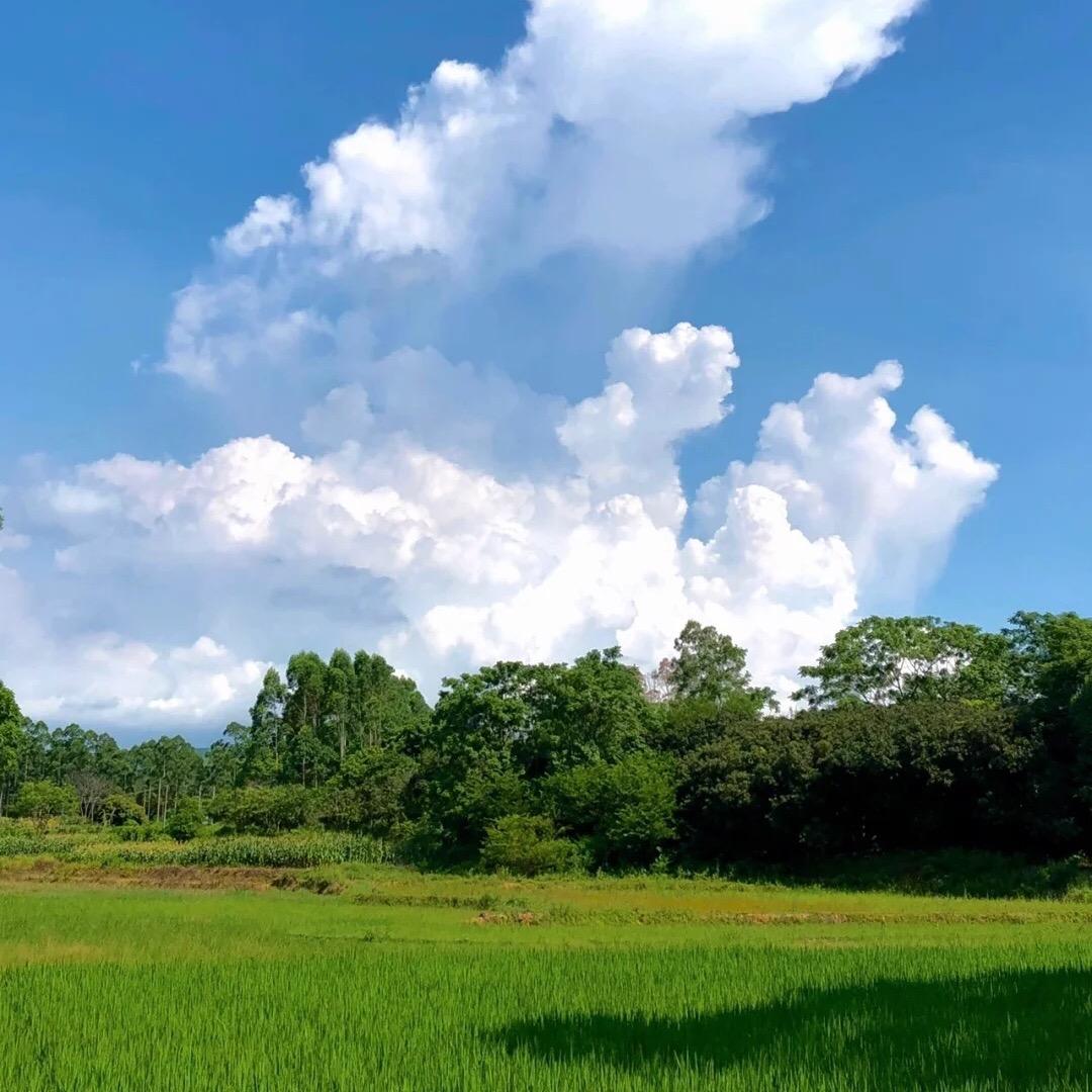 闪电小时达晴晴