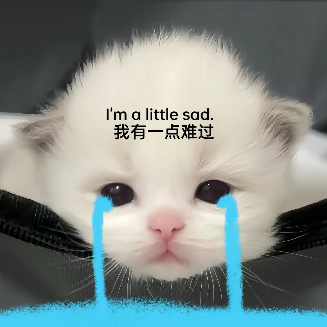 骂我的替我挡灾（支持wsx退出）