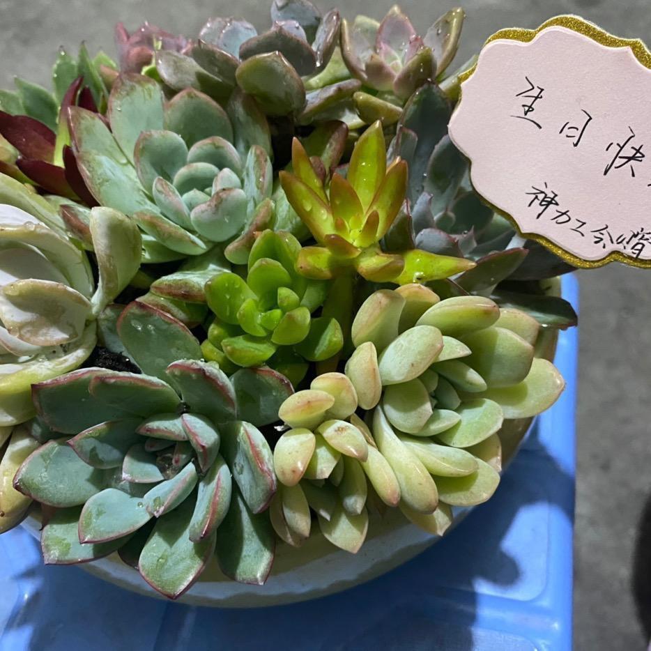心想事成,