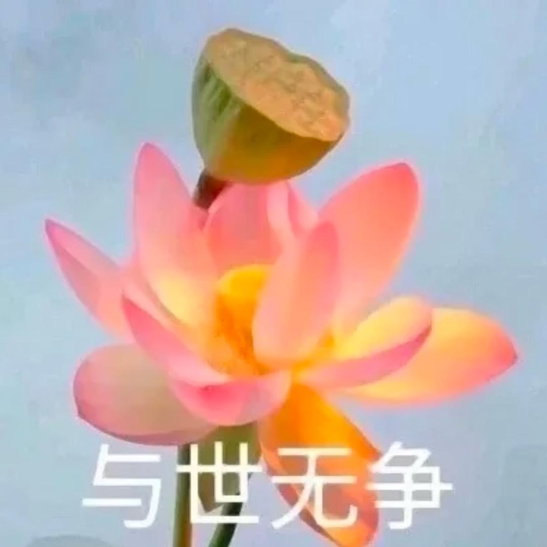 上善若水