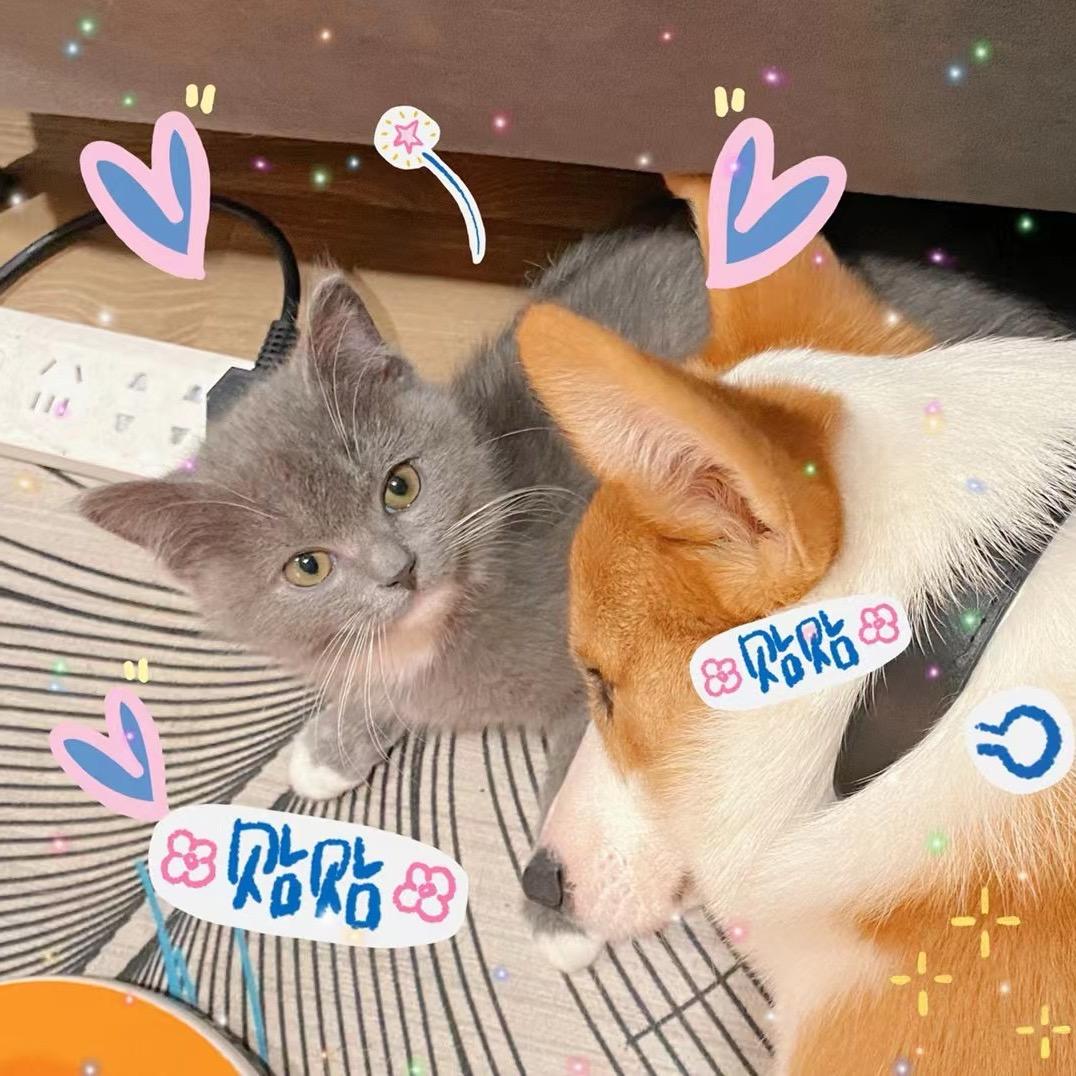 好好很好