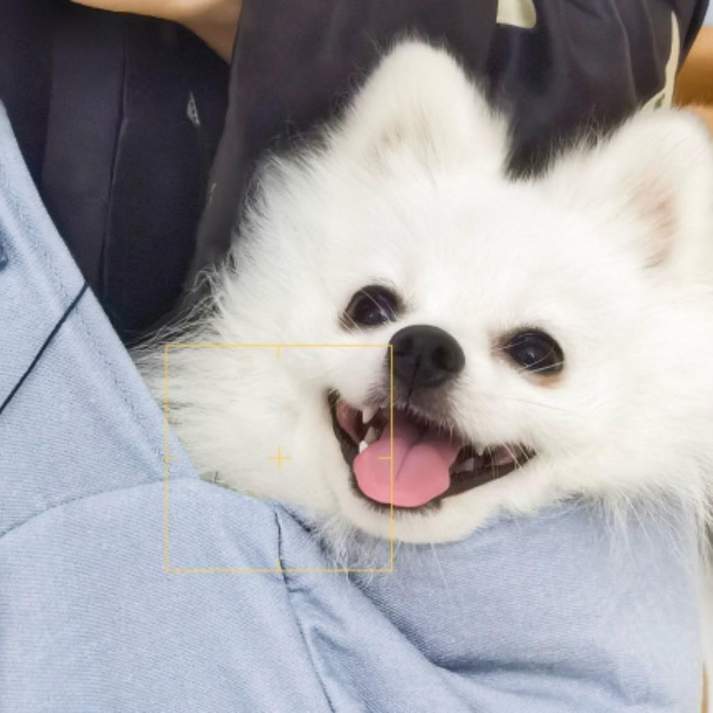狂炫十个丁老师