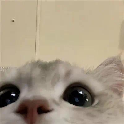 怎怎