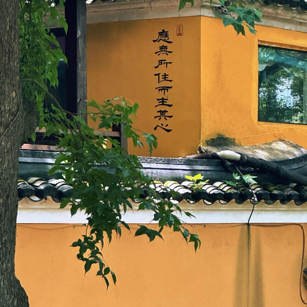 _善念