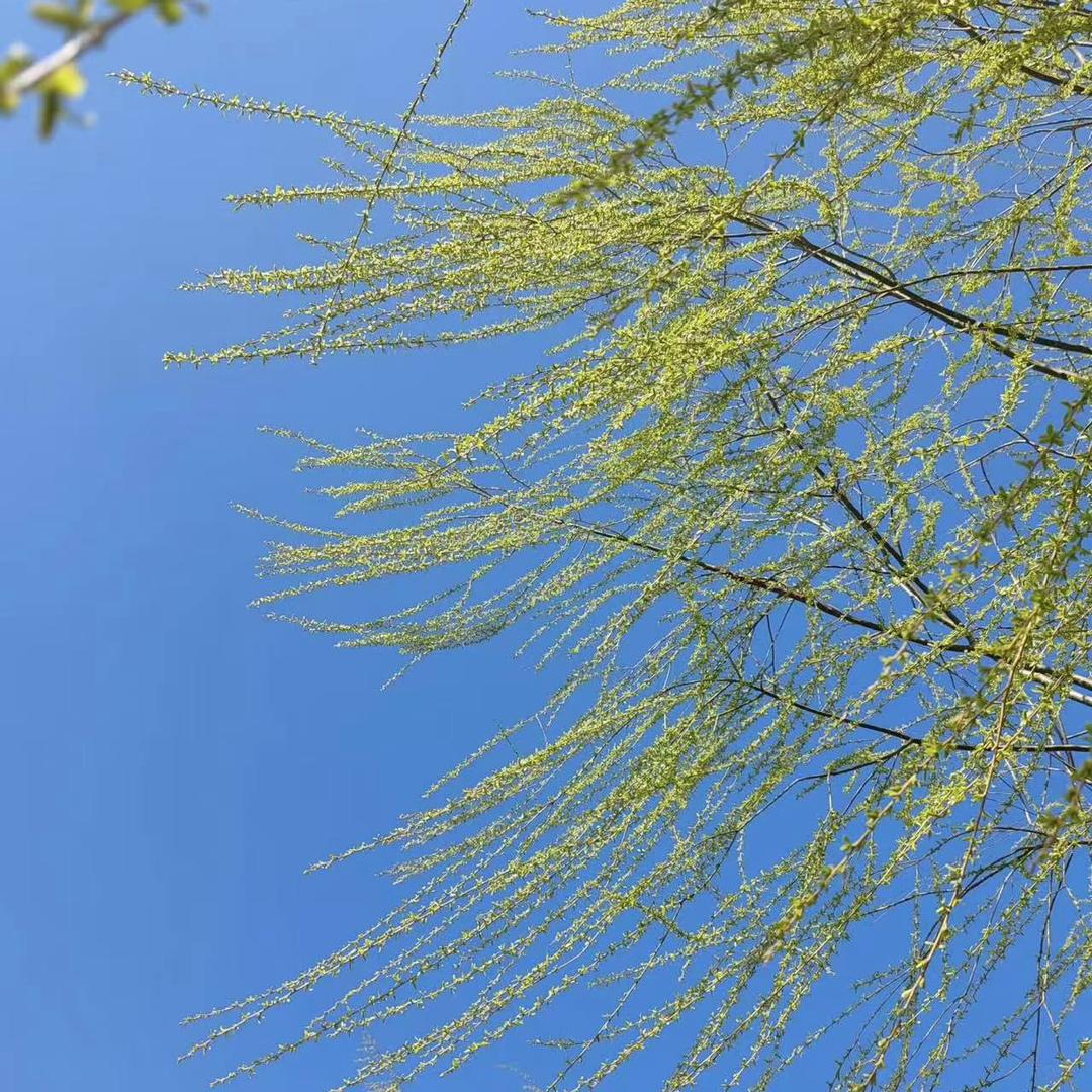 华屹图文广告广州申相科技有限公司生活号