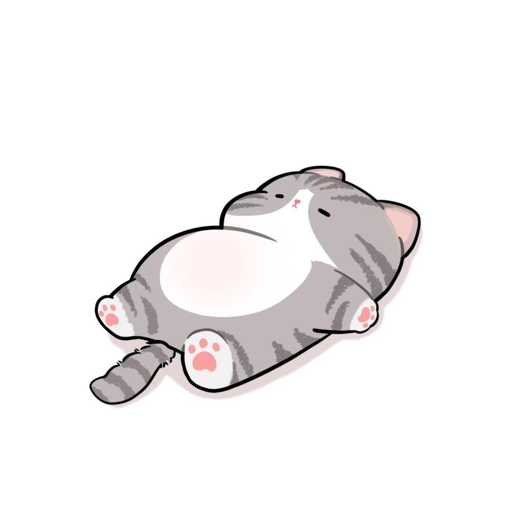 吃番茄不