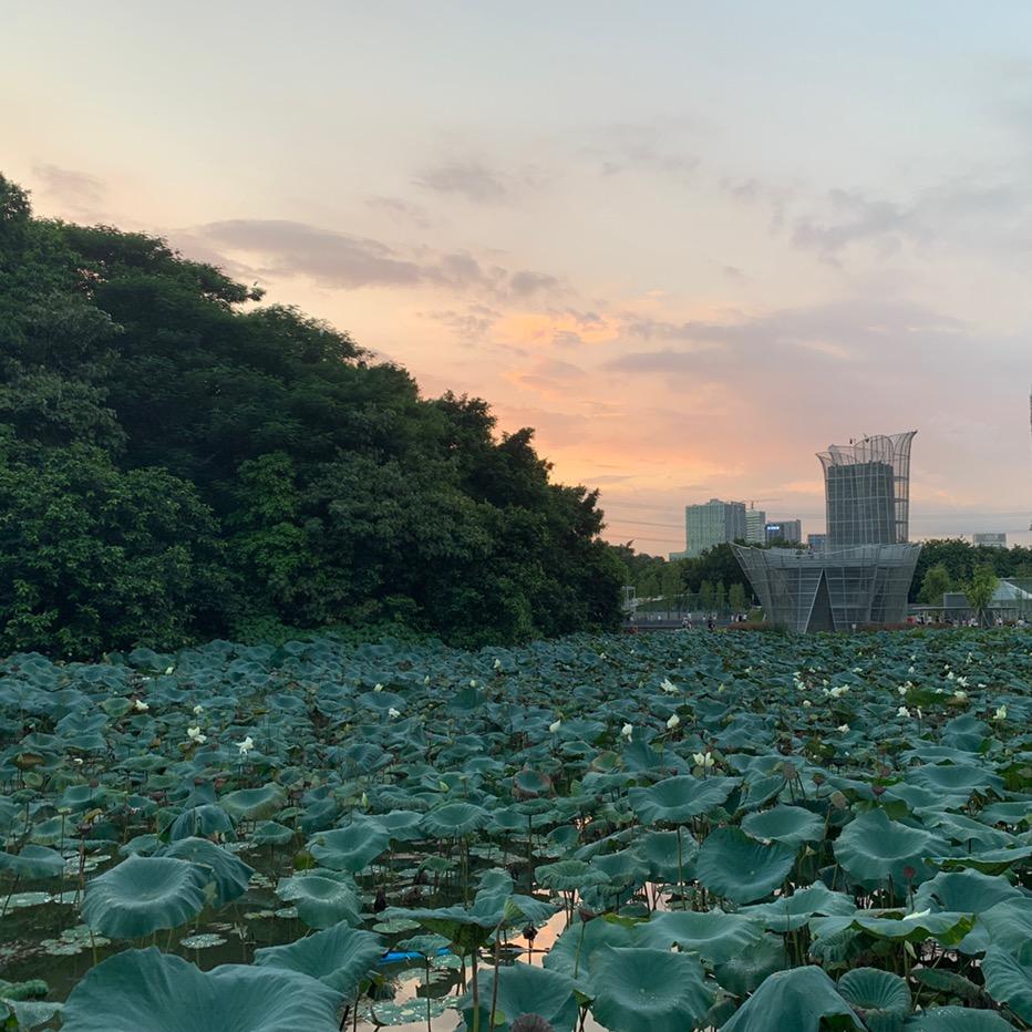 后勤秘书👩🧑‍🎓