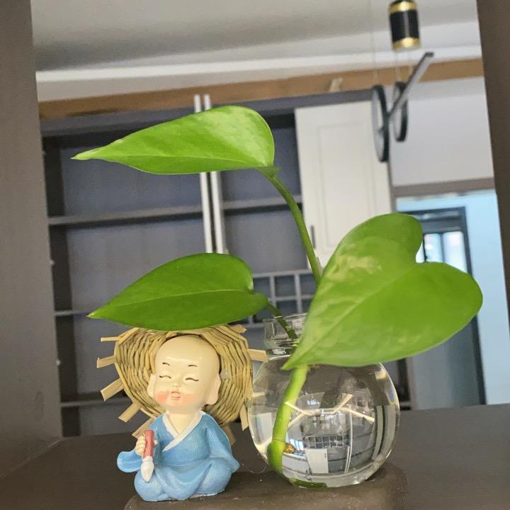 蒙蒙