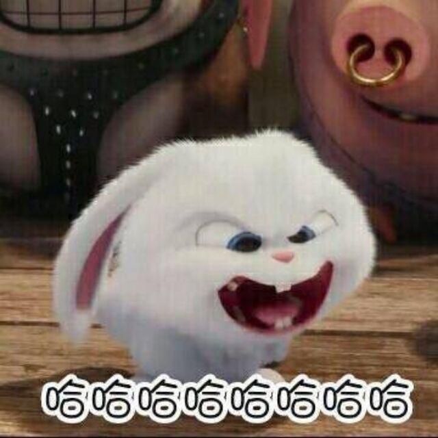清寂..