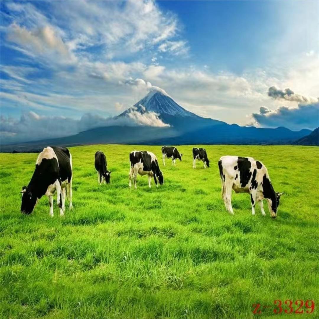好奶🥛优选