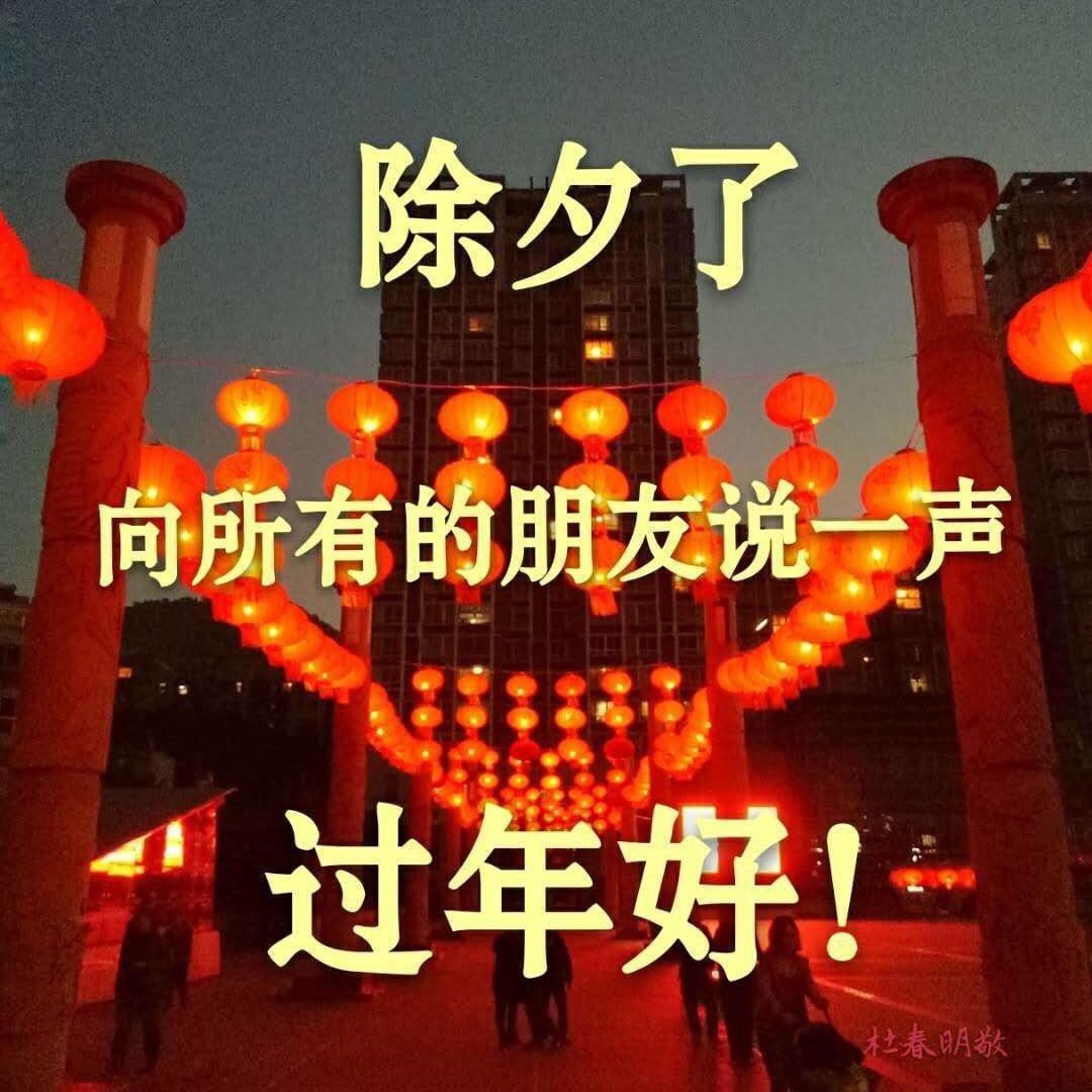秋金鑫