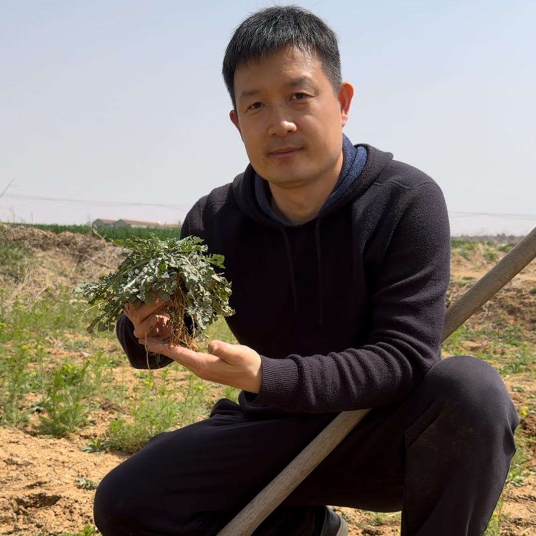 沂蒙植物说