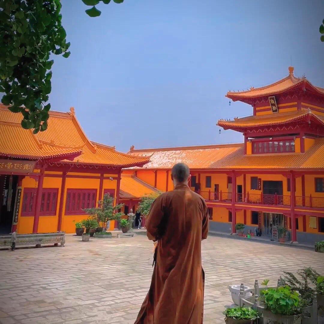 一禅君
