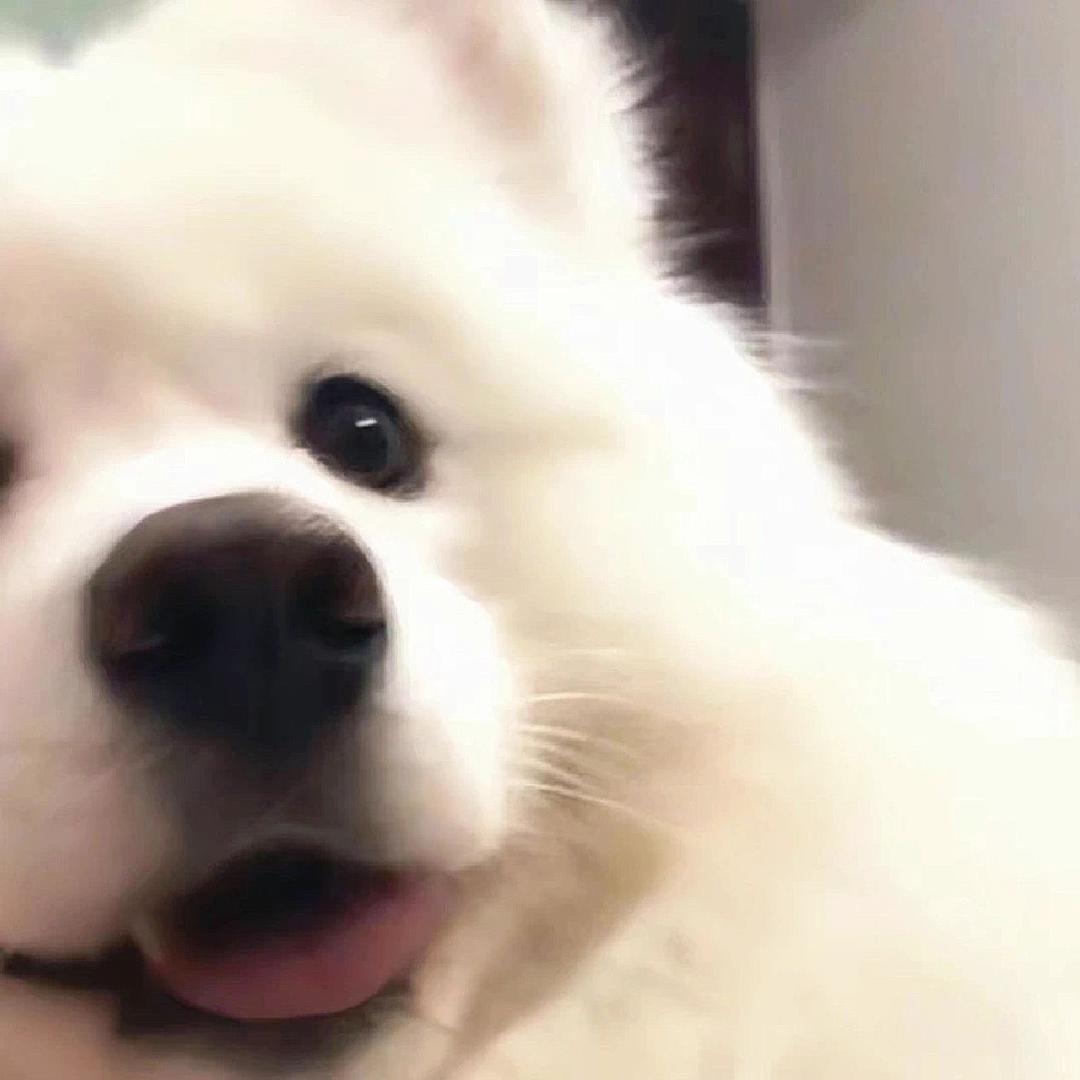 小陆乱撞