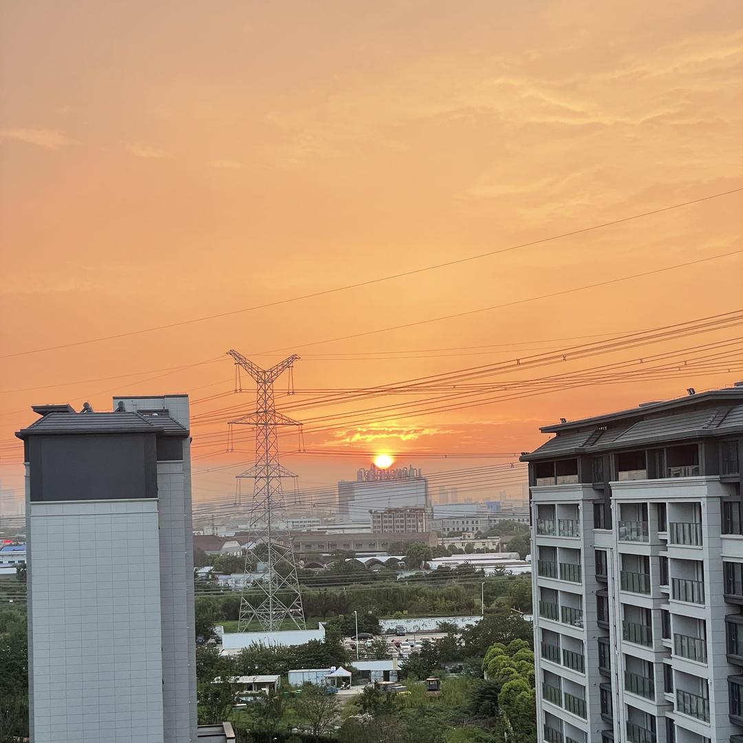 泽桉觅