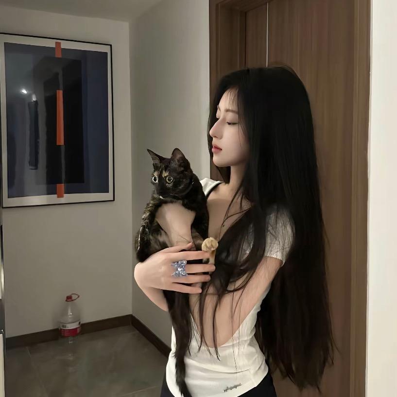 叮当猫
