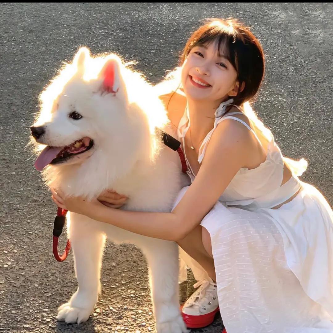 @蛋包洋芋