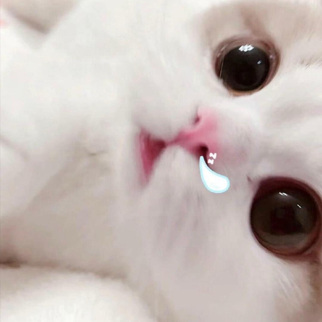 一个梨涡