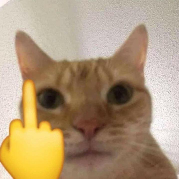bb：
