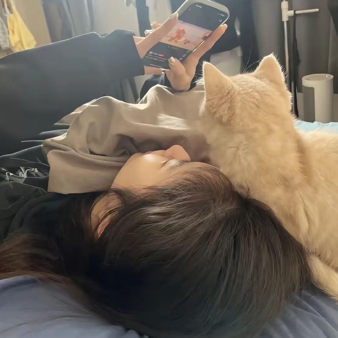 绝望的悲伤土豆