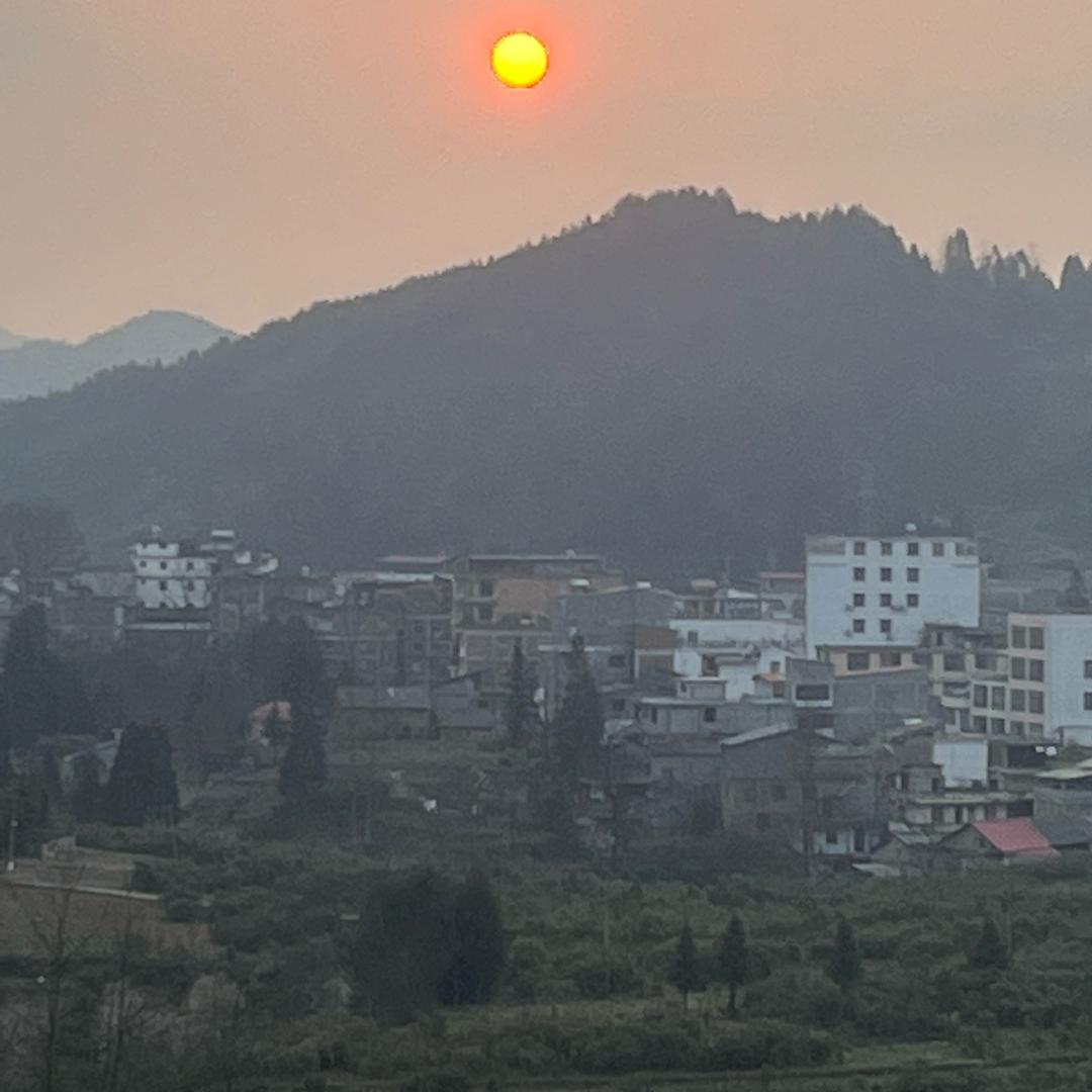 南方小土豆